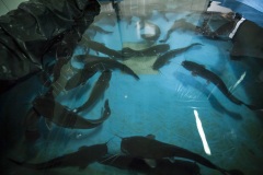 114_©_www_zweischrittweiter_at