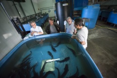 115_©_www_zweischrittweiter_at