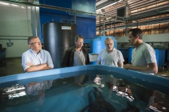 118_©_www_zweischrittweiter_at