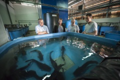 120_©_www_zweischrittweiter_at