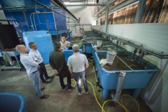 122_©_www_zweischrittweiter_at