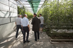 126_©_www_zweischrittweiter_at