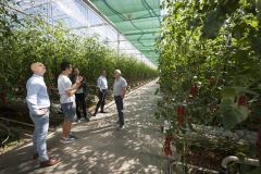 162_©_www_zweischrittweiter_at