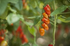 1_128_©_www_zweischrittweiter_at