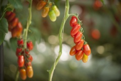 1_130_©_www_zweischrittweiter_at