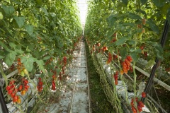 1_132_©_www_zweischrittweiter_at