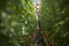 1_133_©_www_zweischrittweiter_at