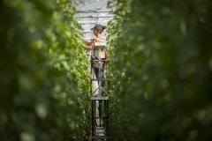 1_134_©_www_zweischrittweiter_at