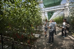 1_139_©_www_zweischrittweiter_at