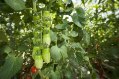 1_140_©_www_zweischrittweiter_at