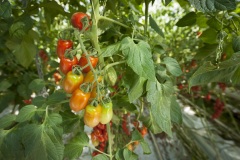 1_141_©_www_zweischrittweiter_at