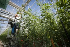 1_145_©_www_zweischrittweiter_at