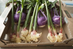 1_079_©_www_zweischrittweiter_at