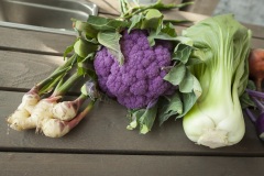 1_081_©_www_zweischrittweiter_at