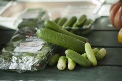 1_084_©_www_zweischrittweiter_at