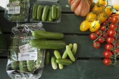 1_086_©_www_zweischrittweiter_at