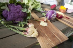 1_102_©_www_zweischrittweiter_at