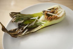 1_180_©_www_zweischrittweiter_at